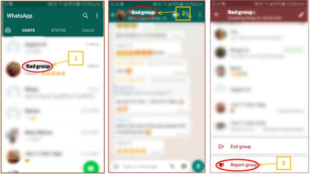 Reporting on WhatsApp-pic3