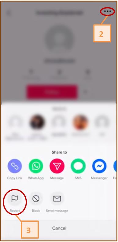 TikTok3