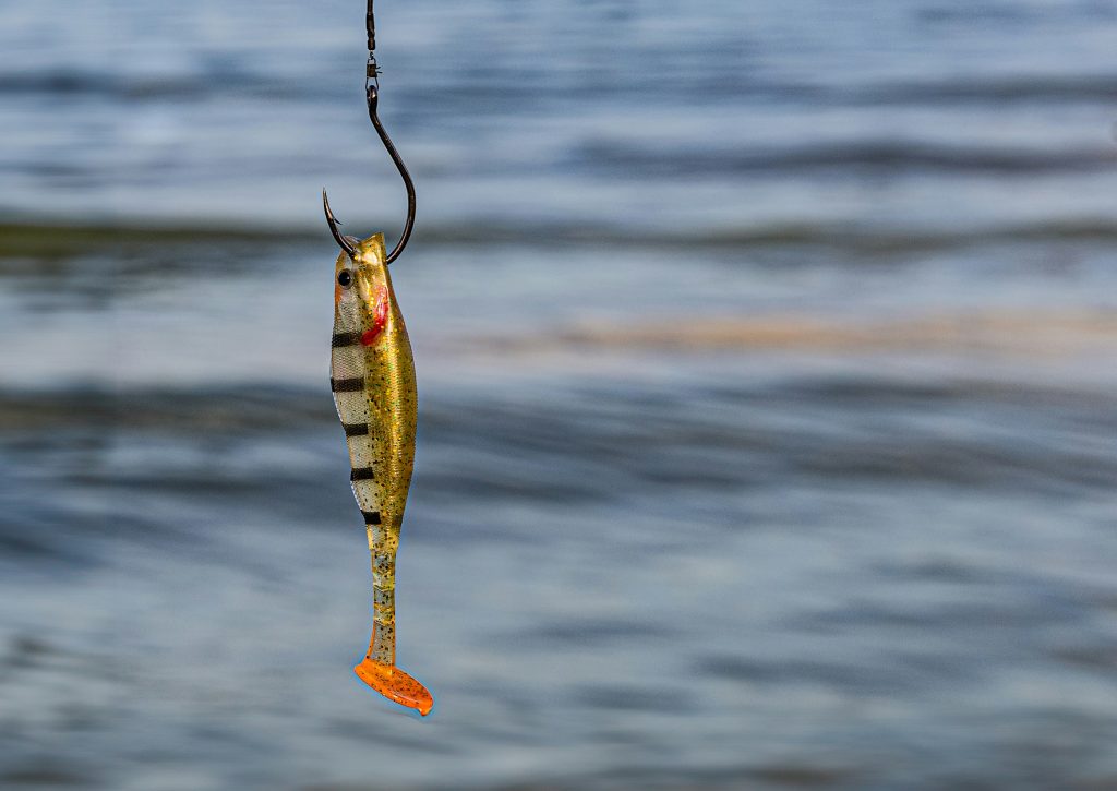 Don’t Get Hooked